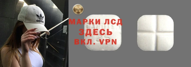 гашик Белая Холуница